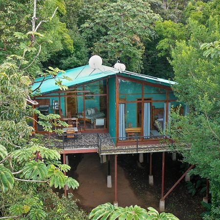 Above The Gulf, Vacation House Monteverde Екстериор снимка