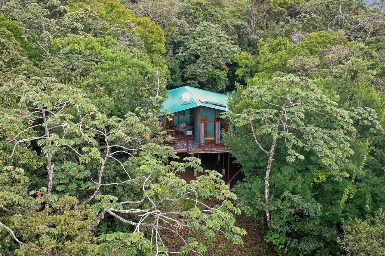 Above The Gulf, Vacation House Monteverde Екстериор снимка